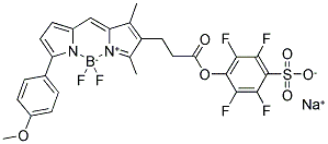 BODIPY(R) TMR, STP ESTER, SODIUM SALT 结构式