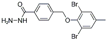 4-(2,6-DIBROMO-4-METHYL-PHENOXYMETHYL)-BENZOIC ACID HYDRAZIDE 结构式