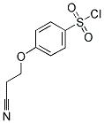 4-(2-CYANO-ETHOXY)-BENZENESULFONYL CHLORIDE 结构式