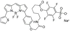 BODIPY(R) TR-X, STP ESTER, SODIUM SALT 结构式