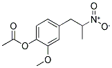 1-(3-METHOXY-4-ACETOXYPHENYL)-2-NITROPROPANE 结构式