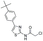 N-[4-(4-TERT-BUTYL-PHENYL)-THIAZOL-2-YL]-2-CHLORO-ACETAMIDE 结构式