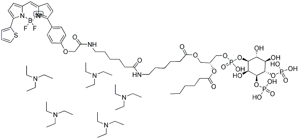 BODIPY(R) TR-X C6-PHOSPHATIDYLINOSITOL 3,4-DIPHOSPHATE, PENTA(TRIETHYLAMMONIUM) SALT 结构式