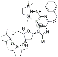 N2-(1,1,4,4-TETRAMETHYLDISILYLAZACYCLOPENTANYL)-O6-BENZYL-8-BROMO-N9-[3',5'-O-(1,1,3,3-TETRAKIS(ISOPROPYL)-1,3-DISILOXANEDIYL)-BETA-D-2'-DEOXYRIBOFURANOSYL]GUANINE 结构式
