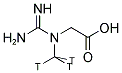 CREATINE, [N-METHYL-3H] 结构式