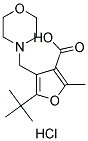 5-TERT-BUTYL-2-METHYL-4-MORPHOLIN-4-YLMETHYL-FURAN-3-CARBOXYLIC ACID HYDROCHLORIDE 结构式