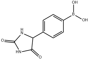 4-(2,5-DIOXOIMIDAZOLIDIN-4-YL)PHENYL]BORONIC ACID 结构式