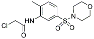 2-CHLORO-N-[2-METHYL-5-(MORPHOLINE-4-SULFONYL)-PHENYL]-ACETAMIDE 结构式