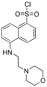 5-(2-MORPHOLIN-4-YL-ETHYLAMINO)-NAPHTHALENE-1-SULFONYL CHLORIDE 结构式