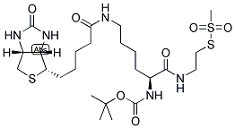 N-T-BOC-BIOCYTINAMIDOETHYL METHANETHIOSULFONATE 结构式
