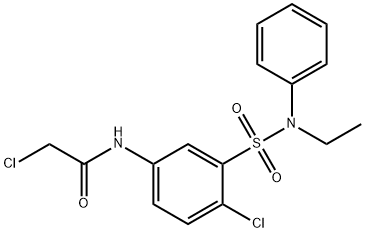 2-CHLORO-N-[4-CHLORO-3-(ETHYL-PHENYL-SULFAMOYL)-PHENYL]-ACETAMIDE 结构式