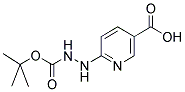 6-叔丁氧羰基-肼基烟酸 结构式