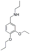 N-(3-ETHOXY-4-PROPOXYBENZYL)-N-PROPYLAMINE 结构式