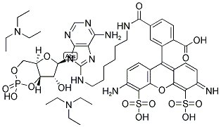 ALEXA FLUOR(R) 488 8-(6-AMINOHEXYL)AMINOADENOSINE 3',5'-CYCLICMONOPHOSPHATE, BIS(TRIETHYLAMMONIUM SALT) 结构式