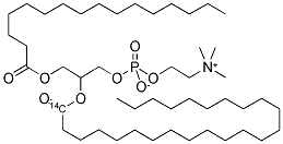 PHOSPHATIDYLCHOLINE, 1-ALPHA-PALMITOYL-, 2-LIGNOCERYL [LIGNOCERYL-1-14C] 结构式