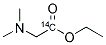 Ethyl dimethylaminoacetate [1-14C] 结构式
