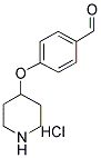 4-(PIPERIDIN-4-YLOXY)BENZALDEHYDE HYDROCHLORIDE 结构式