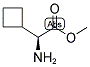 (S)-AMINO-CYCLOBUTYL-ACETIC ACID METHYL ESTER 结构式