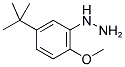 (5-TERT-BUTYL-2-METHOXY-PHENYL)-HYDRAZINE 结构式