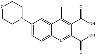 4-METHYL-6-MORPHOLINO-2,3-QUINOLINEDICARBOXYLIC ACID 结构式