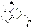 1-(3-BROMO-5-ETHOXY-4-METHOXYPHENYL)-N-METHYLMETHANAMINE 结构式