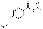 4-(2-BROMOETHYL)-BENZOIC ACID MONO TERT-BUTYL ESTER 结构式