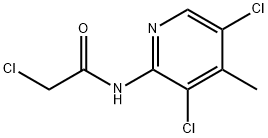 2-CHLORO-N-(3,5-DICHLORO-4-METHYL-PYRIDIN-2-YL)-ACETAMIDE 结构式