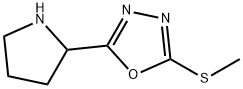 2-METHYLSULFANYL-5-PYRROLIDIN-2-YL-[1,3,4]OXADIAZOLE 结构式