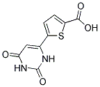 5-(2,6-DIOXO-1,2,3,6-TETRAHYDROPYRIMIDIN-4-YL)THIOPHENE-2-CARBOXYLIC ACID 结构式