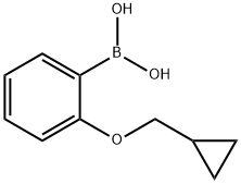 2-(环丙基甲氧基)苯硼酸 结构式