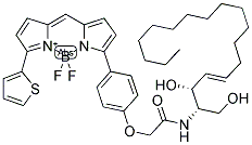 BODIPY(R) TR C5-CERAMIDE COMPLEXED TO BSA 结构式