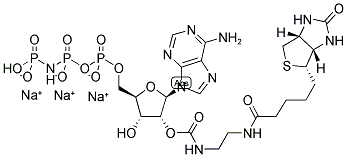 2'/3'-O-(2-(BIOTINYL-BUTYL-CARBAMOYL)ETHYL-CARBAMOYL)-ADENOSINE-5'-[(BETA,GAMMA)-IMIDO]TRIPHOSPHATE, SODIUM SALT 结构式