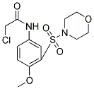 2-CHLORO-N-[4-METHOXY-2-(MORPHOLINE-4-SULFONYL)-PHENYL]-ACETAMIDE 结构式