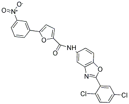 N-[2-(2,5-DICHLOROPHENYL)-1,3-BENZOXAZOL-5-YL]-5-(3-NITROPHENYL)-2-FURAMIDE 结构式