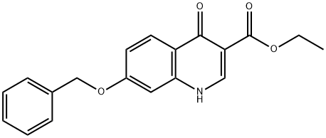 ETHYL 4-OXO-7-(BENZYLOXY)HYDROQUINOLINE-3-CARBOXYLATE 结构式