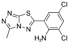 2,4-DICHLORO-6-(3-METHYL-[1,2,4]TRIAZOLO[3,4-B][1,3,4]THIADIAZOL-6-YL)-PHENYLAMINE 结构式
