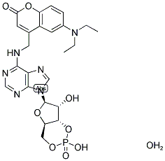 (7-DIETHYLAMINOCOUMARIN-4-YL)METHYL ADENOSINE-3',5'-CYCLIC MONOPHOSPHATE, HYDRATE 结构式