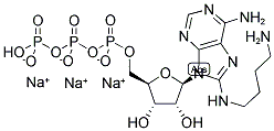 8-[(4-AMINO)BUTYL]-AMINO-ADENOSINE-5'-TRIPHOSPHATE, SODIUM SALT 结构式