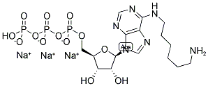 N6-(6-AMINO)HEXYL-ADENOSINE-5'-TRIPHOSPHATE, SODIUM SALT 结构式