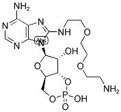 8-(8-AMINO-3, 6-DIOXAOCTYLAMINO) ADENOSINE-3',5'-CYCLIC MONOPHOSPHATE 结构式