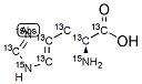 L-组氨酸-13C6,15N3 结构式