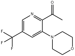 1-[3-MORPHOLINO-5-(TRIFLUOROMETHYL)-2-PYRIDINYL]-1-ETHANONE 结构式