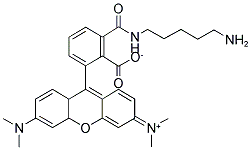 6-TAMRA CADAVERINE 结构式