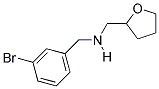 1-(3-BROMOPHENYL)-N-(TETRAHYDROFURAN-2-YLMETHYL)METHANAMINE 结构式