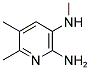 2-氨基-5,6-二甲基-3-甲基氨基吡啶 结构式