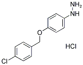 (4-[(4-Chlorobenzyl)oxy]phenyl)hydrazine hydrochloride 结构式