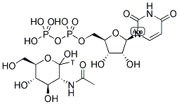 URIDINE DIPHOSPHATE N-ACETYL-GLUCOSAMINE, [GLUCOSAMINE-1-3H] 结构式