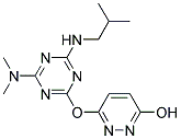 6-{[4-(DIMETHYLAMINO)-6-(ISOBUTYLAMINO)-1,3,5-TRIAZIN-2-YL]OXY}PYRIDAZIN-3-OL 结构式