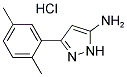 3-(2,5-DIMETHYLPHENYL)-1H-PYRAZOL-5-YLAMINE HYDROCHLORIDE 结构式