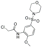 2-CHLORO-N-[2-METHOXY-5-(MORPHOLINE-4-SULFONYL)-PHENYL]-ACETAMIDE 结构式